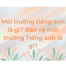 Môi trường tiếng Anh là gì? Bảo vệ môi trường tiếng Anh là gì?