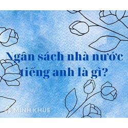 Ngân sách nhà nước tiếng Anh là gì? State Budget là gì?