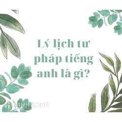Lý lịch tư pháp tiếng Anh là gì? Judicial records là gì?