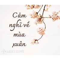 Cảm nghĩ về mùa xuân Văn lớp 7 chọn lọc hay nhất
