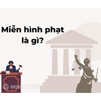 Miễn hình phạt là gì? Ví dụ miễn hình phạt, miễn chấp hành hình phạt