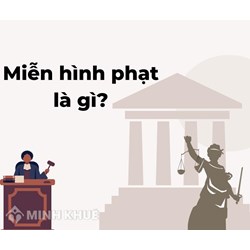 Miễn hình phạt là gì? Ví dụ miễn hình phạt, miễn chấp hành hình phạt