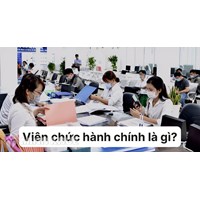 Viên chức hành chính là gì? Viên chức hành chính gồm những ai?
