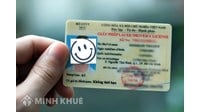Cách tra cứu giấy phép lái xe bị tạm giữ nhanh nhất?