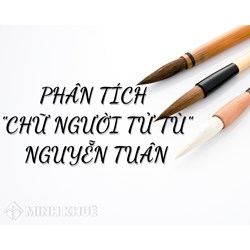 Phân tích tác phẩm Chữ người tử tù của nhà văn Nguyễn Tuân hay nhất
