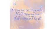 Công ty Con Tiếng anh là gì? Công ty trực thuộc tiếng Anh là gì?