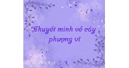 Thuyết minh về cây phượng vĩ chọn lọc hay nhất