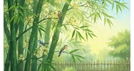 Thuyết minh về cây tre chọn lọc hay nhất