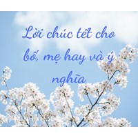 Lời chúc Tết cho bố mẹ hay, ý nghĩa, tình cảm