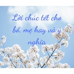 Lời chúc Tết cho bố mẹ hay, ý nghĩa, tình cảm