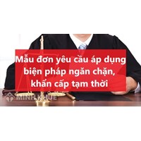 Mẫu đơn yêu cầu áp dụng biện pháp ngăn chặn, khẩn cấp tạm thời