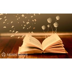Các hình thức kết cấu của văn bản thuyết minh là gì?