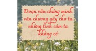 Đoạn văn chứng minh rằng văn chương gây cho ta những tình cảm ta không có hay nhất