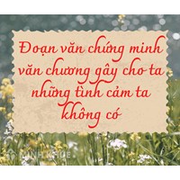 Đoạn văn chứng minh rằng văn chương gây cho ta những tình cảm ta không có hay nhất
