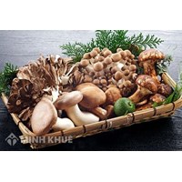 Nấm là gì? Nấm có phải là thực vật không? Trong tự nhiên nấm có vai trò gì?