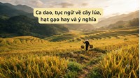 Ca dao, tục ngữ về cây lúa, hạt gạo hay và ý nghĩa nhất