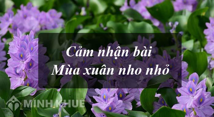 bài thơ Mùa xuân nho nhỏ: Hãy để chúng tôi giới thiệu cho bạn một bài thơ tuyệt vời về Mùa xuân nho nhỏ. Lời thơ sẽ đưa bạn trở về với những kỷ niệm đẹp của tuổi thơ, hòa mình vào màu xanh tươi mới và hương hoa thơm ngát của mùa xuân.