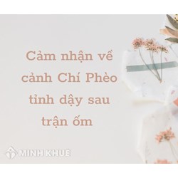 Cảm nhận của anh chị về cảnh Chí Phèo tỉnh dậy sau trận ốm