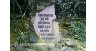 Phân tích câu ca dao Con người có cố có ông chọn lọc hay nhất