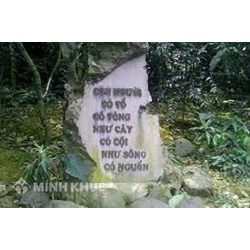 Phân tích câu ca dao Con người có cố có ông chọn lọc hay nhất