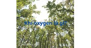 Oxygen là gì? Những ứng dụng của khí oxygen trong đời sống và trong sản xuất