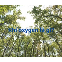 Oxygen là gì? Những ứng dụng của khí oxygen trong đời sống và trong sản xuất