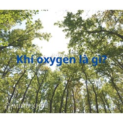 Oxygen là gì? Những ứng dụng của khí oxygen trong đời sống và trong sản xuất
