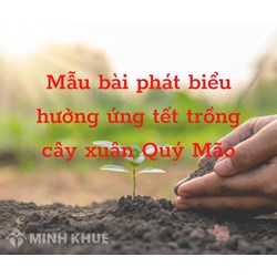 Mẫu bài phát biểu hưởng ứng Tết trồng cây năm Giáp Thìn 2024