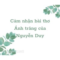 Cảm nhận về bài thơ Ánh trăng của Nguyễn Duy chọn lọc hay nhất