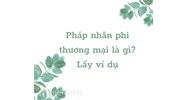 Pháp nhân phi thương mại là gì? Ví dụ pháp nhân phi thương mại