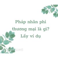 Pháp nhân phi thương mại là gì? Ví dụ pháp nhân phi thương mại