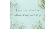 Đoạn văn về ý nghĩa của sự trải nghiệm trong cuộc sống chọn lọc hay nhất