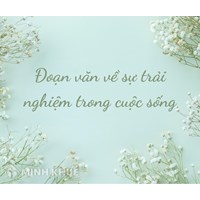 Đoạn văn về ý nghĩa của sự trải nghiệm trong cuộc sống chọn lọc hay nhất
