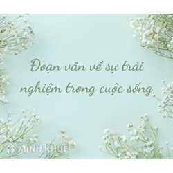 Đoạn văn về ý nghĩa của sự trải nghiệm trong cuộc sống chọn lọc hay nhất
