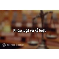 Ca dao tục ngữ về tôn trọng pháp luật và kỉ luật chọn lọc hay nhất