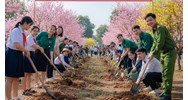 Kế hoạch tổ chức Tết trồng cây mới nhất 2026