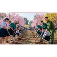 Kế hoạch tổ chức Tết trồng cây mới nhất 2026
