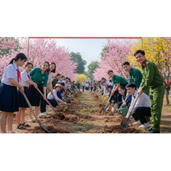 Kế hoạch tổ chức Tết trồng cây mới nhất 2026