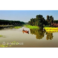 Nguyên nhân dẫn đến ngập lụt ở đồng bằng sông Cửu Long là do?