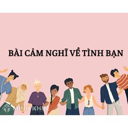 Bài cảm nghĩ về tình bạn chọn lọc hay nhất