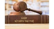Những điểm mới của Luật sở hữu trí tuệ sửa đổi mới áp dụng