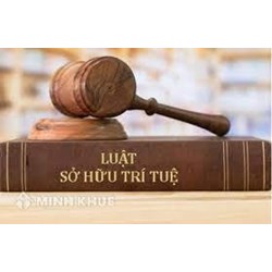 Những điểm mới của Luật sở hữu trí tuệ sửa đổi mới áp dụng