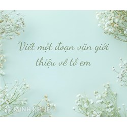 Viết một đoạn văn giới thiệu về tổ của em chọn lọc hay nhất