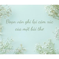 Đoạn văn ghi lại cảm xúc về một bài thơ chọn lọc hay nhất