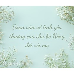 Đoạn văn về tình yêu thương mãnh liệt của chú bé Hồng chọn lọc hay nhất