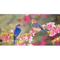 Cảm nhận về ước nguyện của tác giả trong bài thơ Mùa xuân nho nhỏ hay nhất