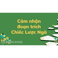 Cảm nhận của em về đoạn trích Chiếc lược ngà chọn lọc hay nhất