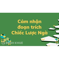 Cảm nhận của em về đoạn trích Chiếc lược ngà chọn lọc hay nhất