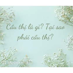 Cầu thị là gì? Tại sao phải cầu thị? Cách rèn luyện đức tính cầu thị