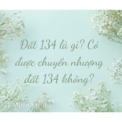 Đất 134 là gì? Điều kiện chuyển nhượng đất của người dân tộc thiểu số?